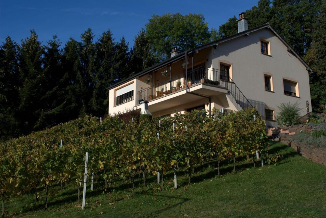 Casavitis Erholung Am Weinberg Apartment Lontzen Exterior photo