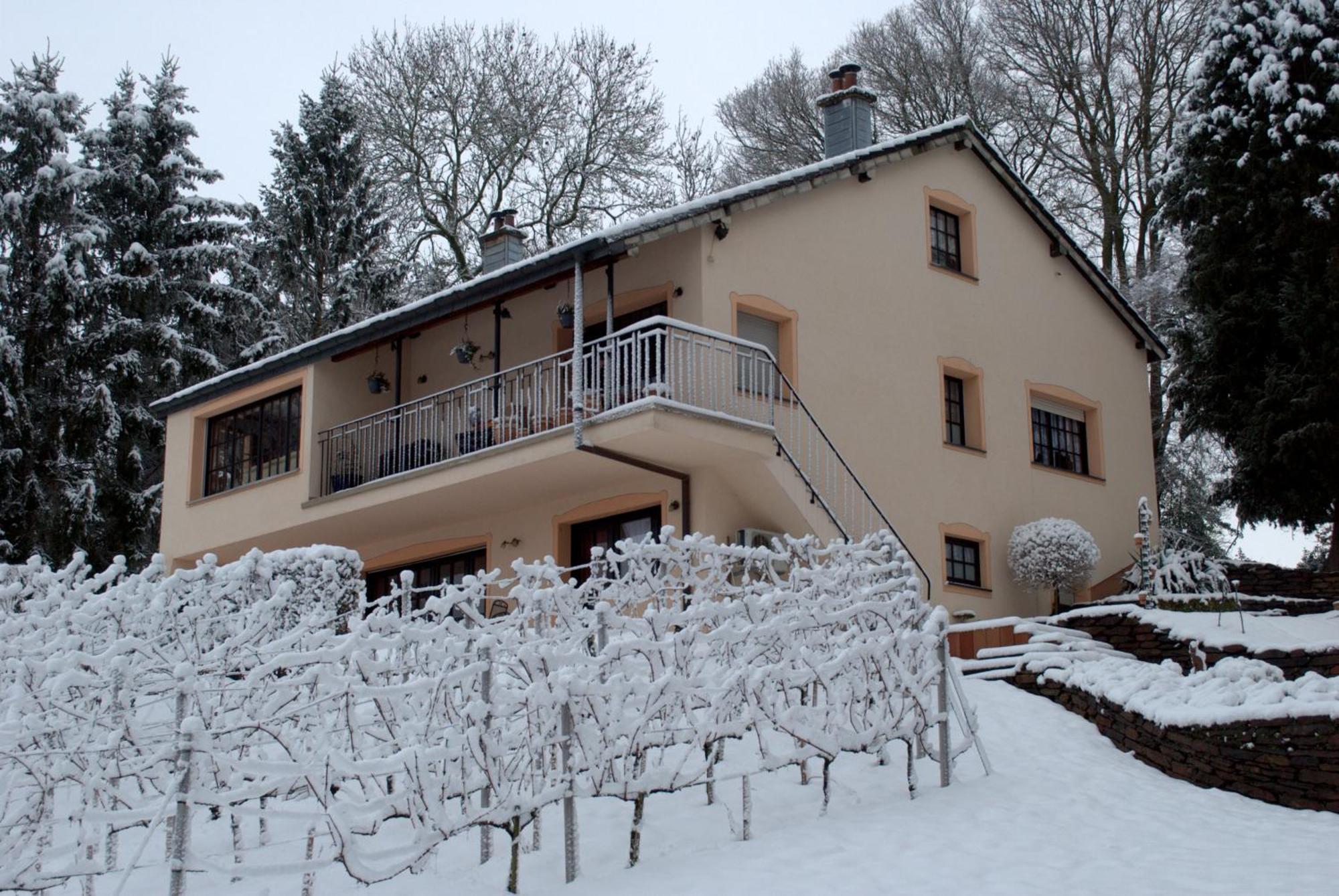 Casavitis Erholung Am Weinberg Apartment Lontzen Exterior photo
